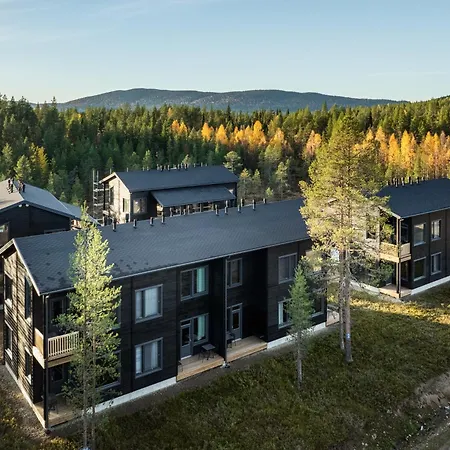 Levin Lyhty Aino A3 By Hilla * Levi